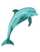  delfin